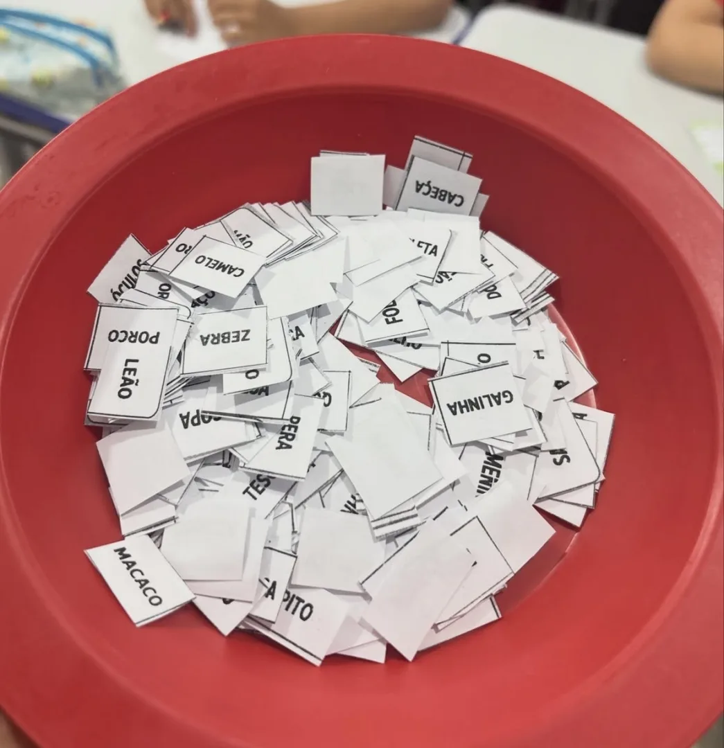 Bingo das Palavras - 2º e 3º Ano - Alfabetização - PDF — imagem 3