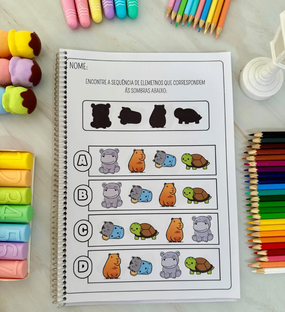 Brincando com Sombras — imagem 2