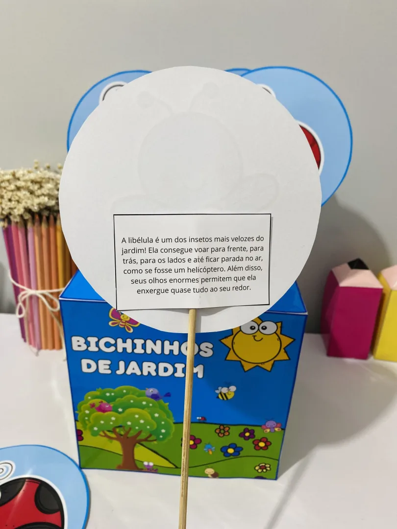 CAIXA PEDAGÓGICA: BICHINHOS DO JARDIM — imagem 2