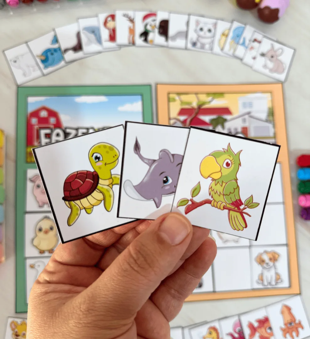 Casinha dos Animais — imagem 3