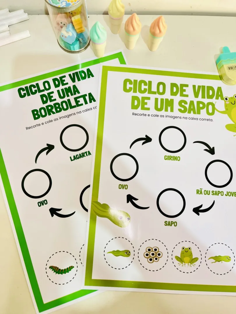 Ciclo de Vida — Pronto para Imprimir — imagem 2