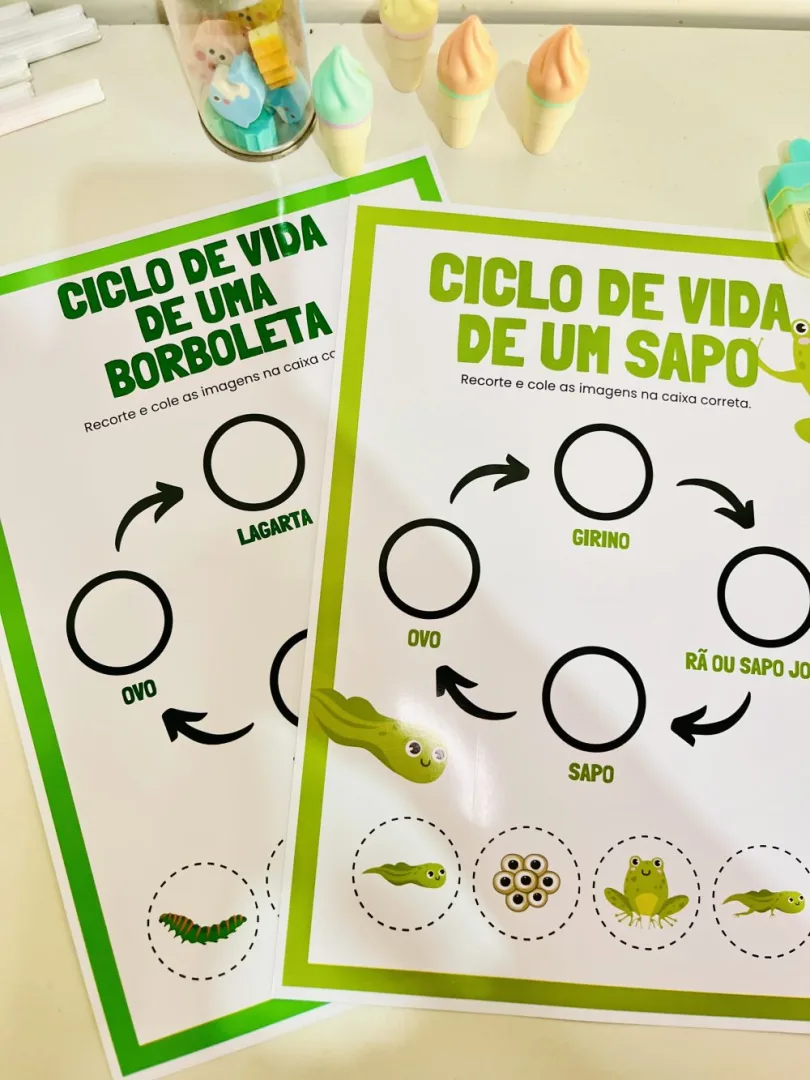 Ciclo de Vida — Pronto para Imprimir — imagem 3
