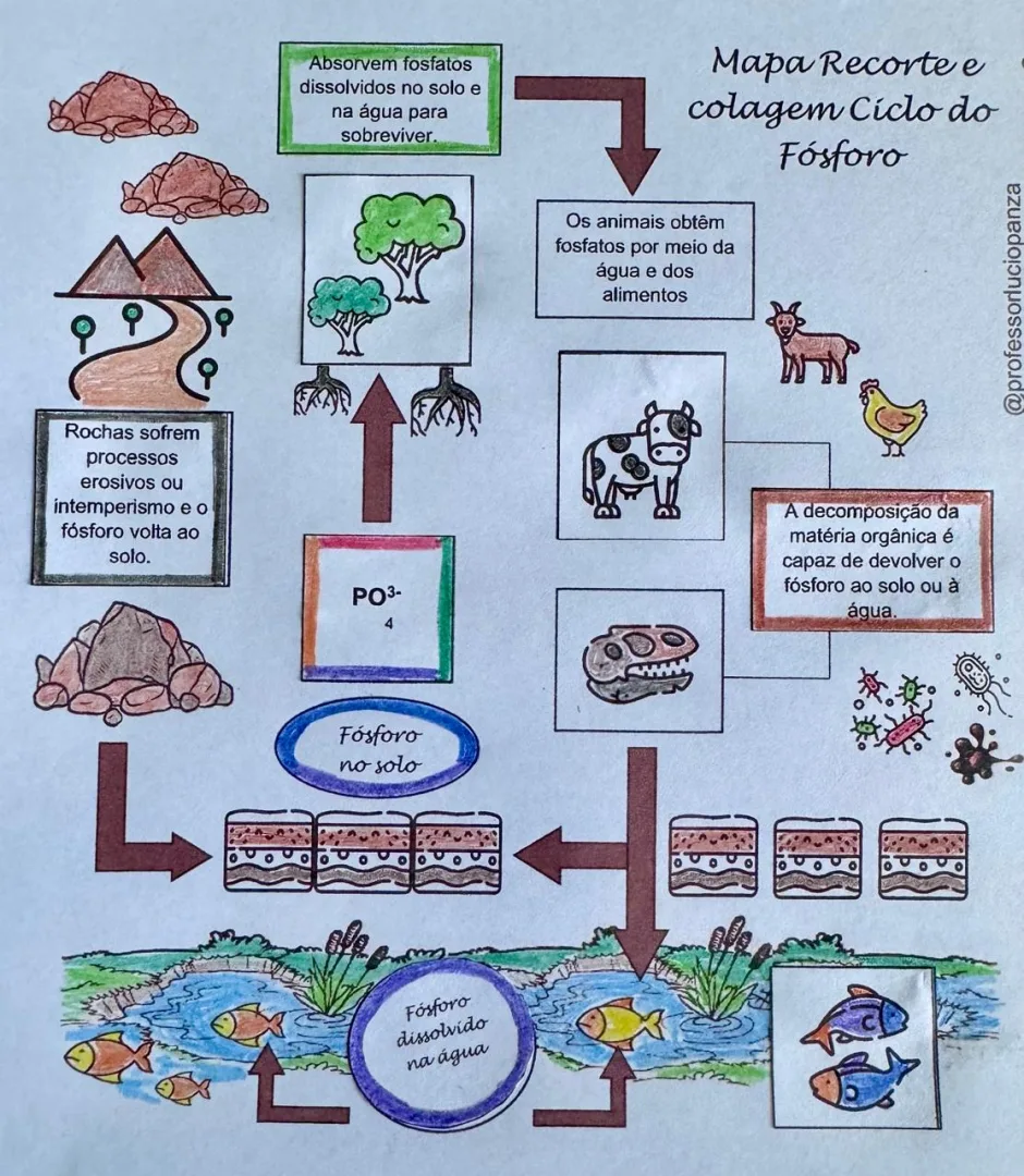 Ciclos Biogeoquímicos Mapa Mental Recorte e Colagem em PDF - Fósforo 9° Ano — imagem 2