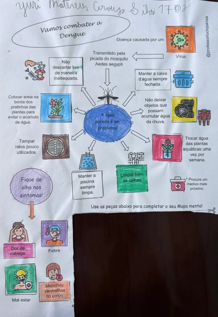 Combate a DENGUE Mapa Mental Recorte e Colagem em PDF Interdisciplinar — imagem 2