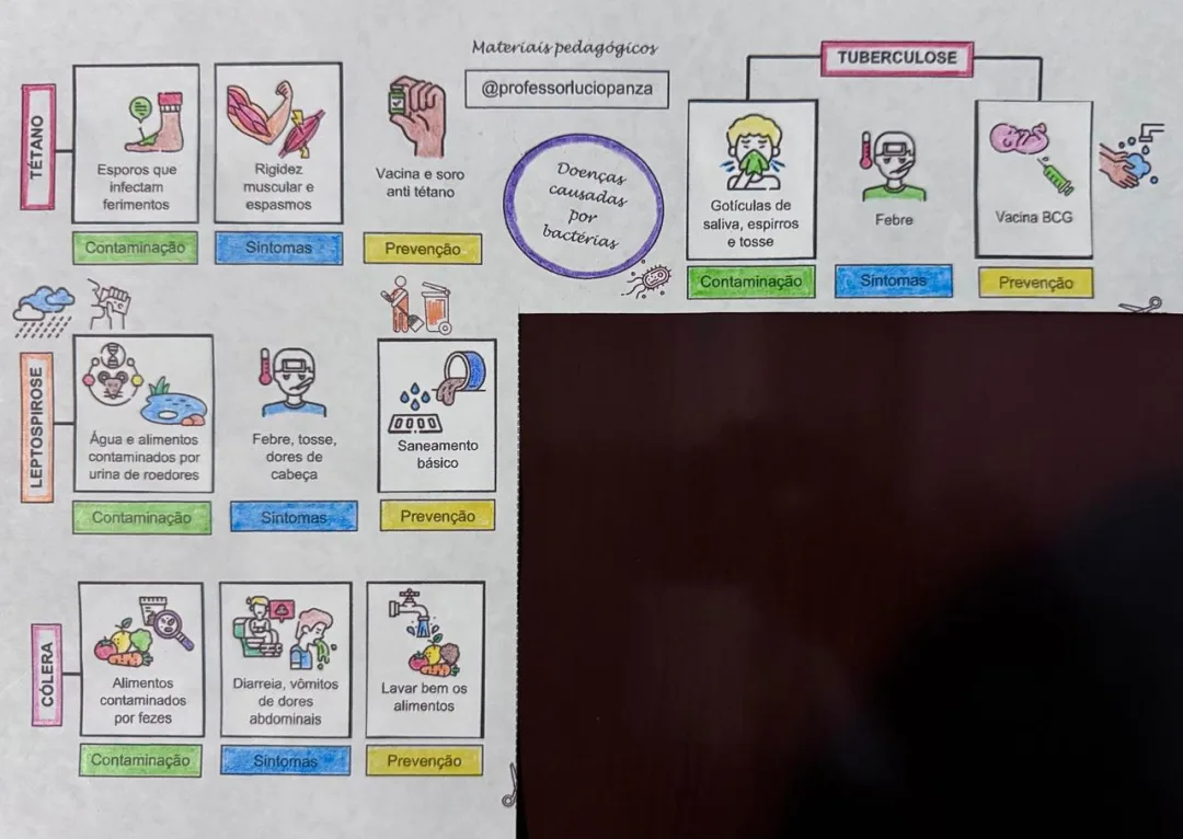 Doenças Causadas por Bactérias Mapa Mental Recorte e Colagem em PDF 7° Ano — imagem 2
