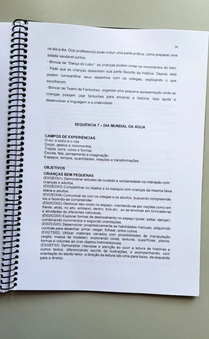 E-book: Planos de Aula para Educação Infantil — imagem 5