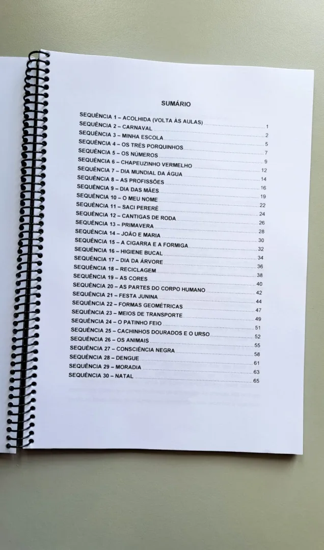 E-book: Planos de Aula para Educação Infantil — imagem 3