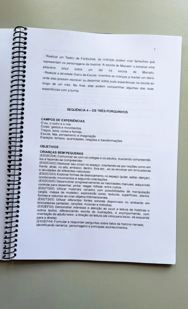 E-book: Planos de Aula para Educação Infantil — imagem 2