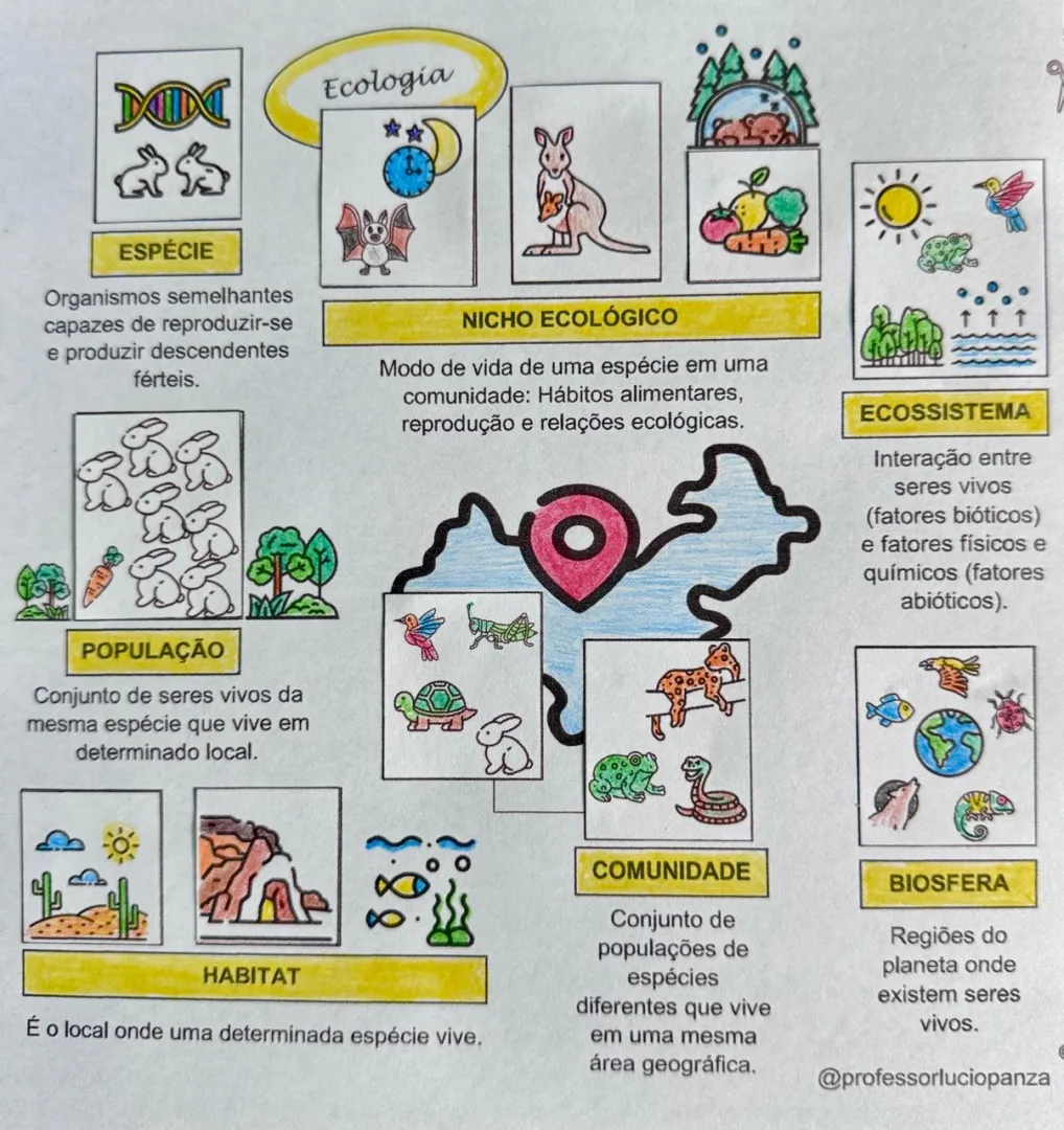 Ecologia Mapa Mental Recorte e Colagem em PDF — imagem 2