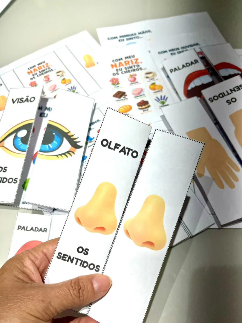 FLIP BOOK DOS SENTIDOS - Arquivo em PDF. — imagem 2