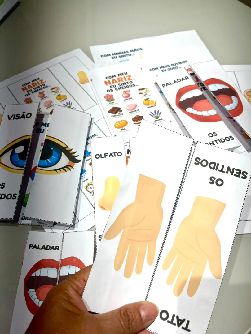 FLIP BOOK DOS SENTIDOS - Arquivo em PDF. — imagem 3