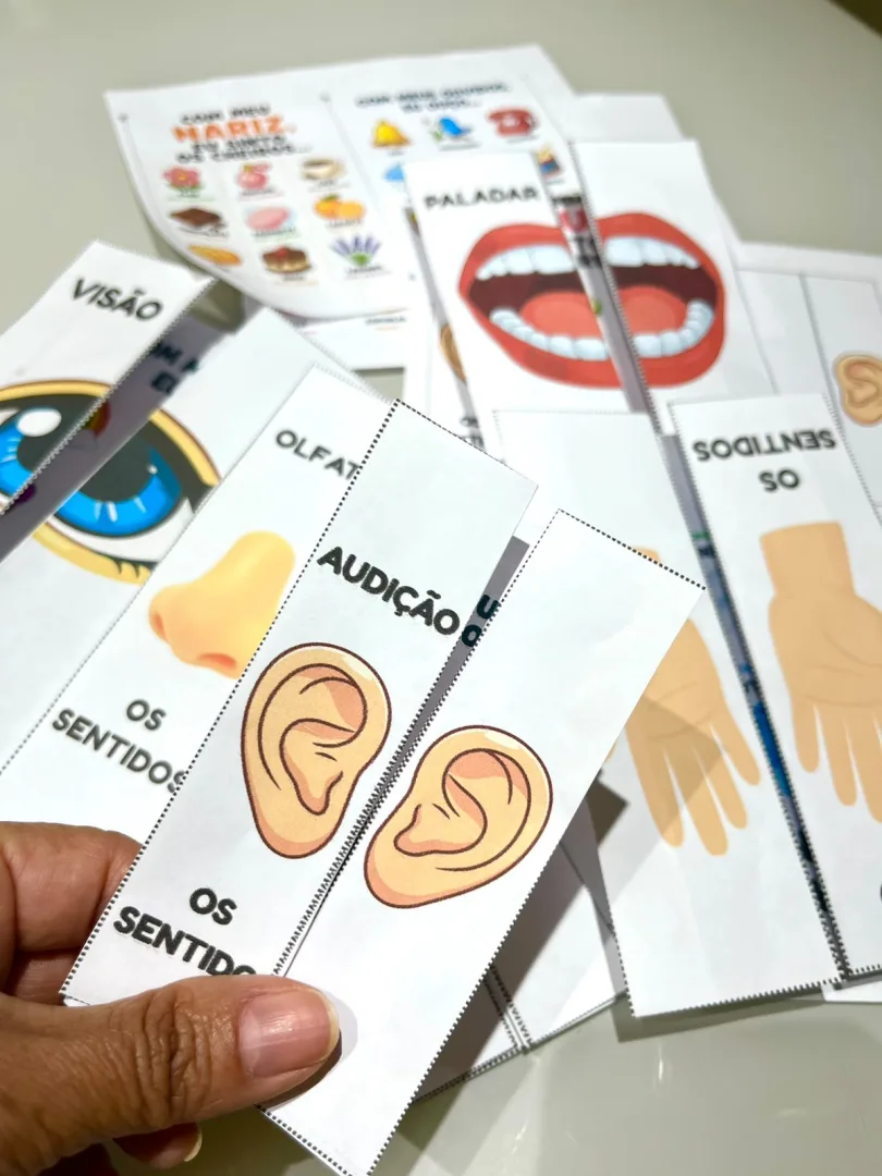 FLIP BOOK DOS SENTIDOS - Arquivo em PDF. — imagem 4