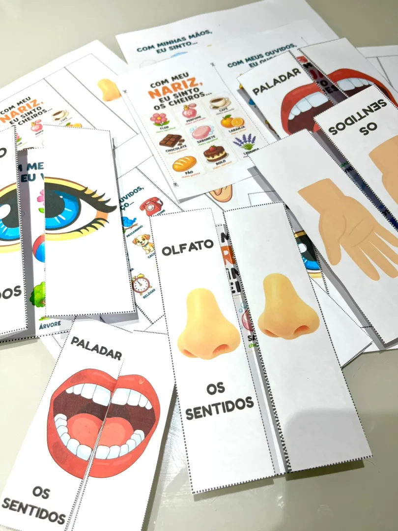 FLIP BOOK DOS SENTIDOS - Arquivo em PDF. — imagem 5