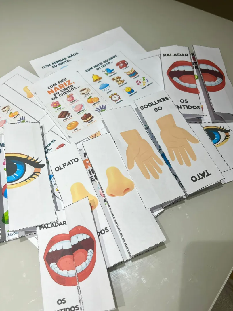 FLIP BOOK DOS SENTIDOS - Arquivo em PDF. — imagem 6