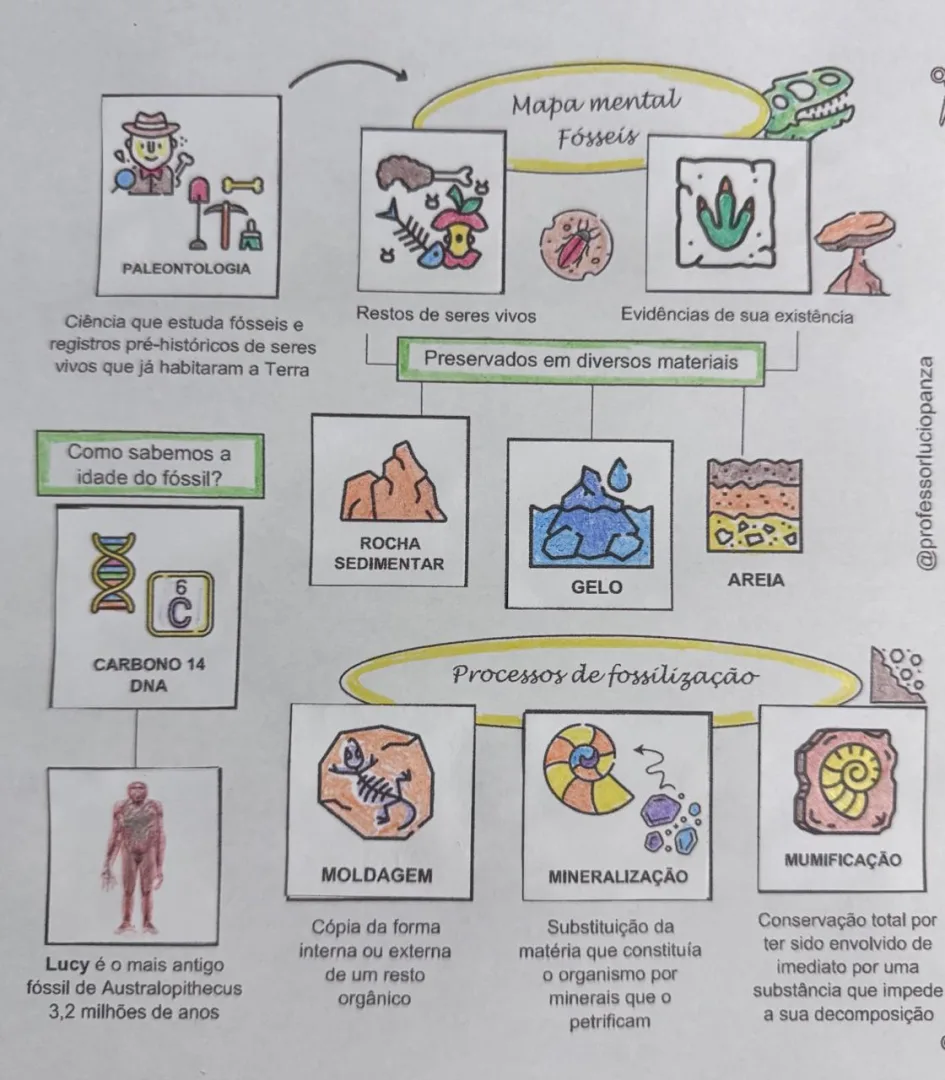 Fósseis Mapa Mental Recorte e Colagem em PDF 6° Ano — imagem 2