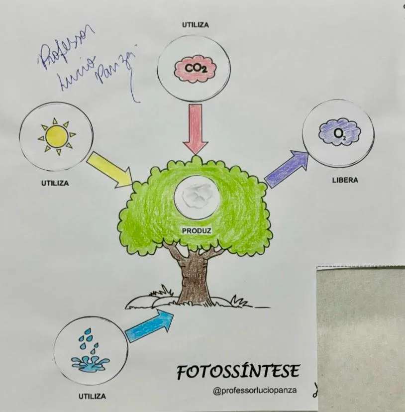 Fotossíntese Mapa mental recorte e colagem em PDF  — imagem 2