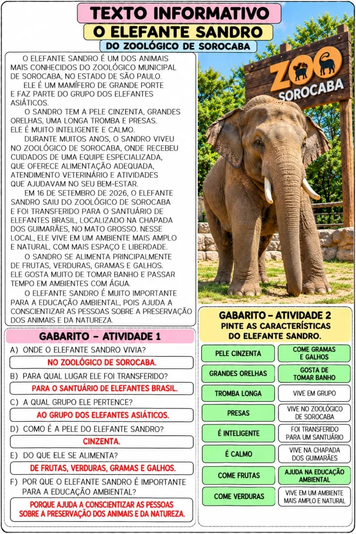 Gênero Textual: 1º e 2º anos - Atividades - Texto Informativo - Animais em PDF   — imagem 3