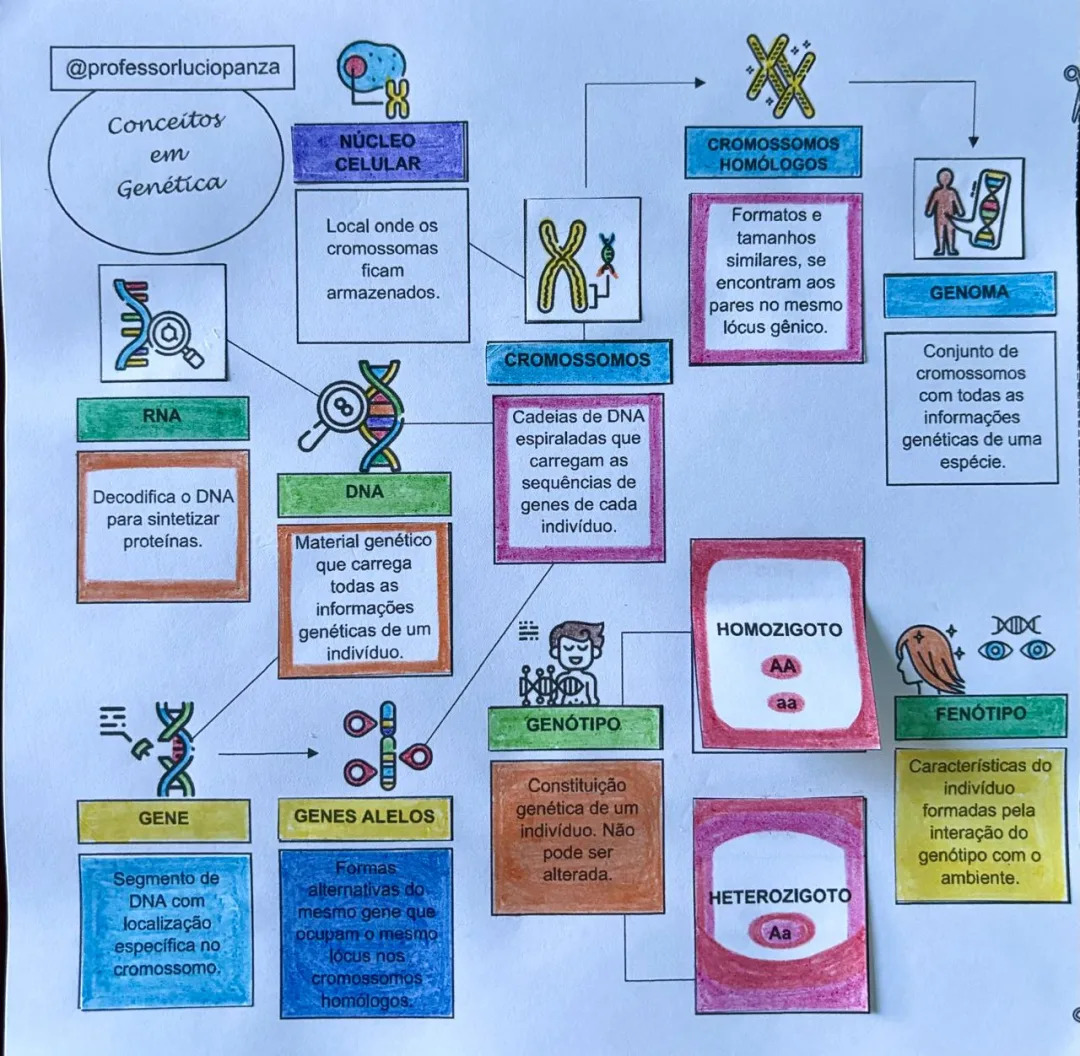 Genética Mapa Mental Conceitos Fundamentais em PDF 9° Ano — imagem 2