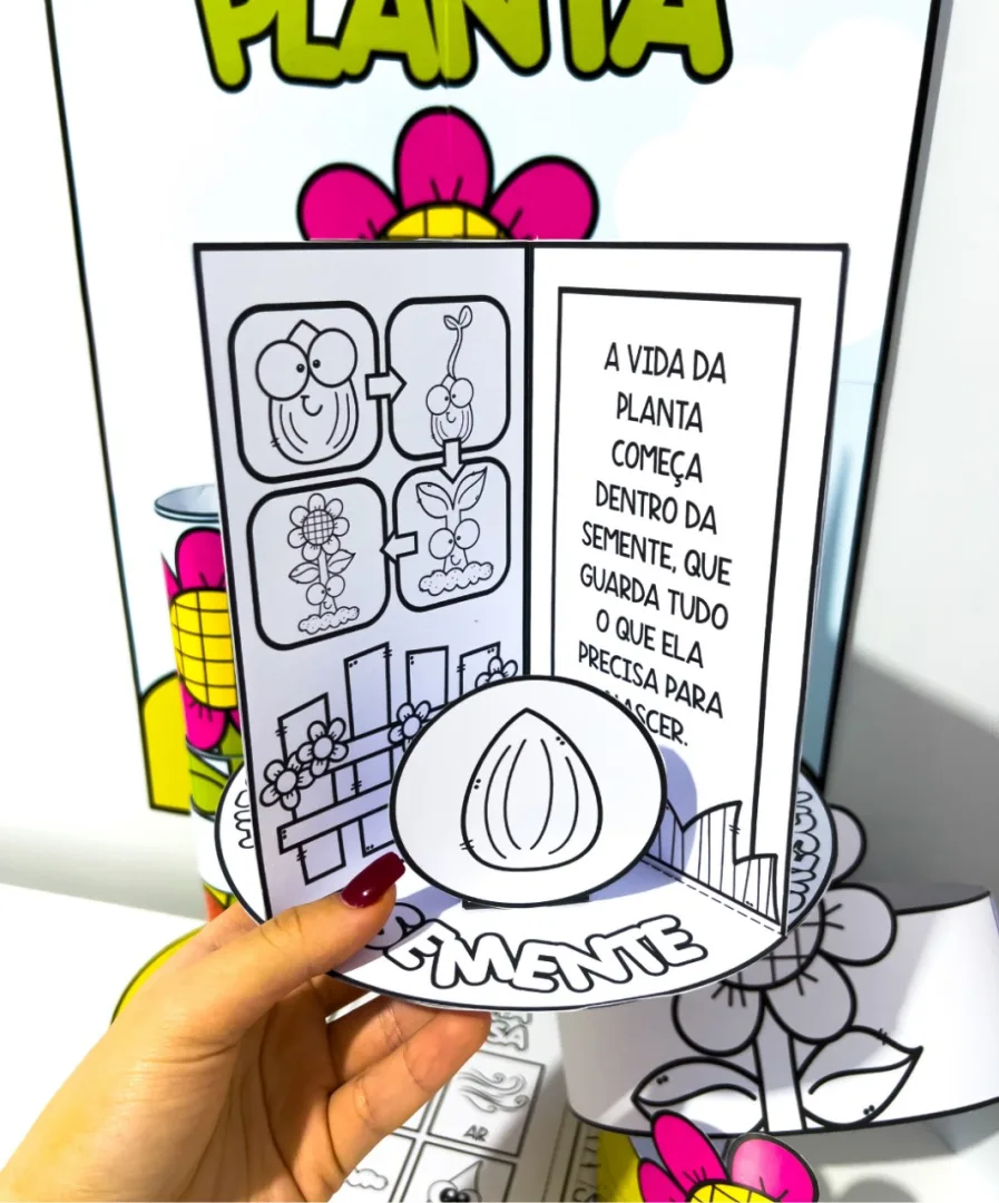 KIT CICLO DA PLANTA - PRIMAVERA — imagem 4