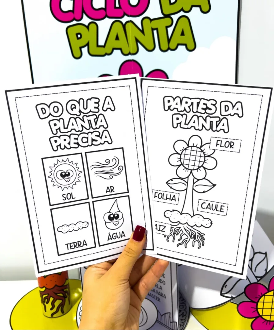 KIT CICLO DA PLANTA - PRIMAVERA — imagem 5