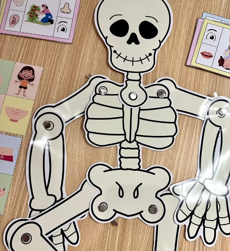 Kit Corpo Humano — imagem 2