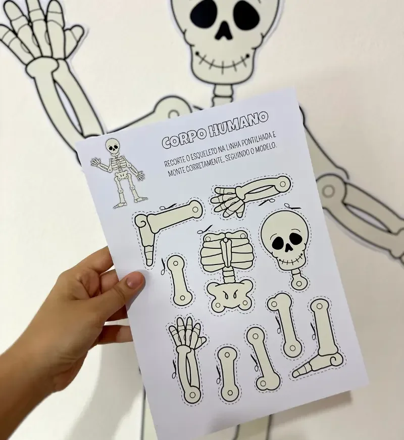 Kit Corpo Humano — imagem 3