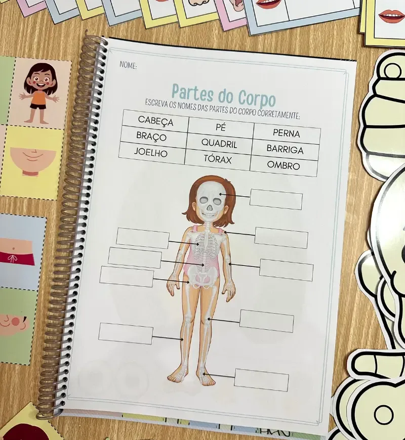 Kit Corpo Humano — imagem 4