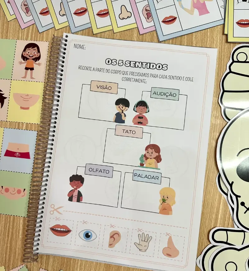 Kit Corpo Humano — imagem 5