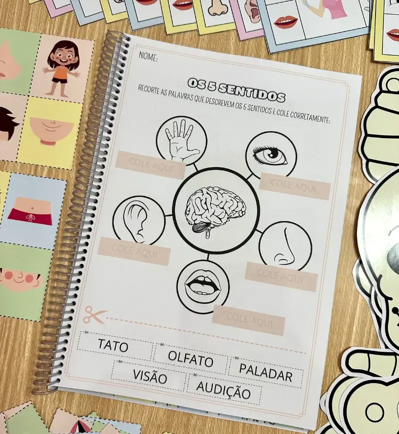 Kit Corpo Humano — imagem 6