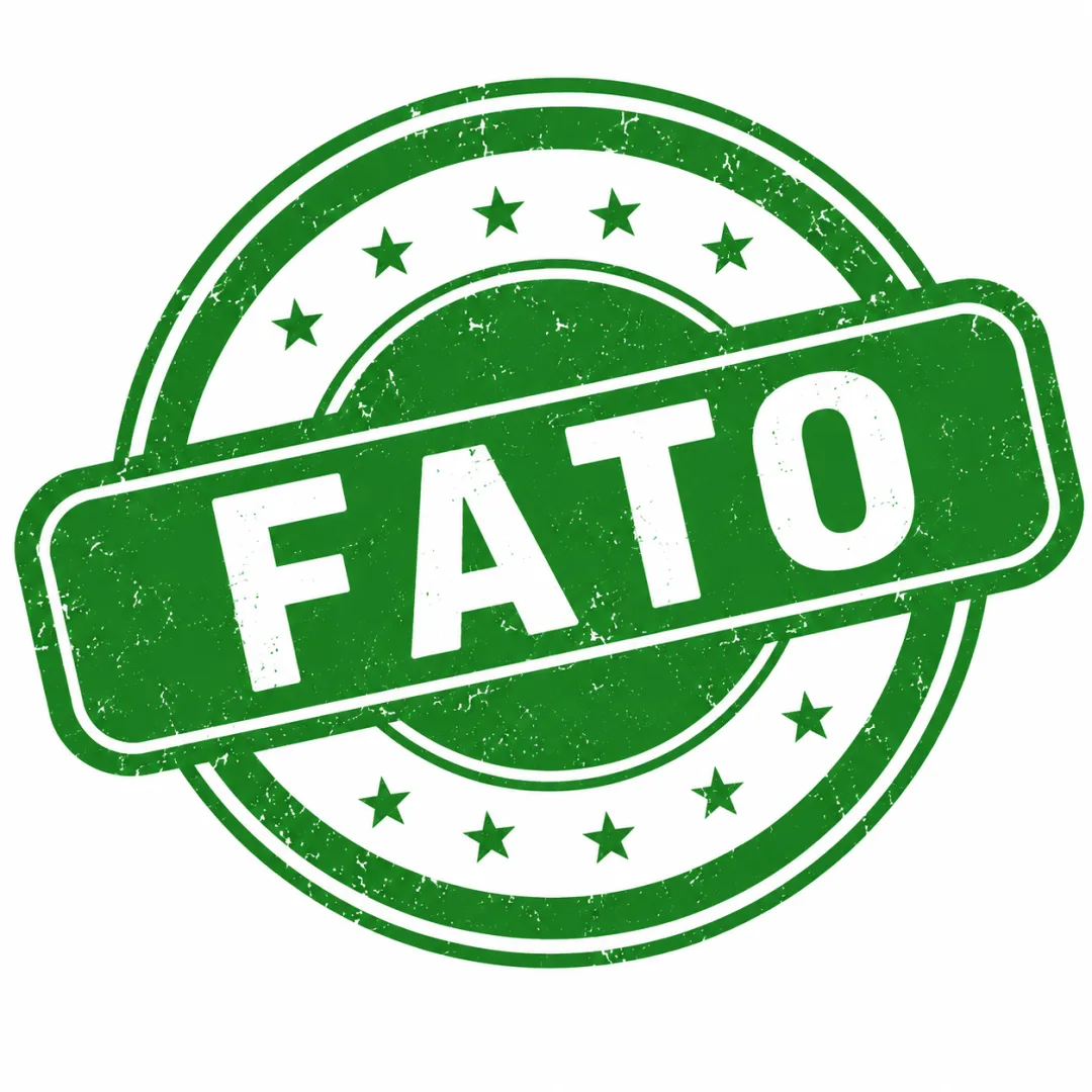 KIT DE ATIVIDADES: FATO OU OPINIÃO? — imagem 2