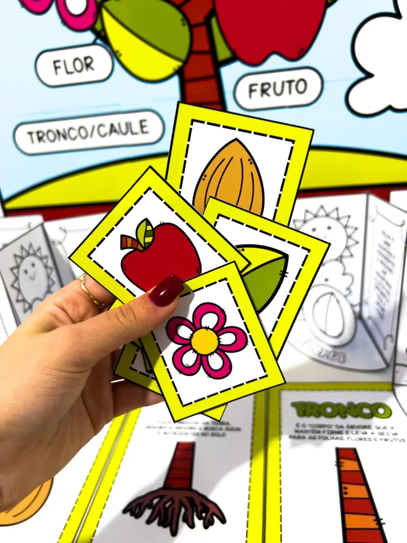 Kit partes da árvore  — imagem 3