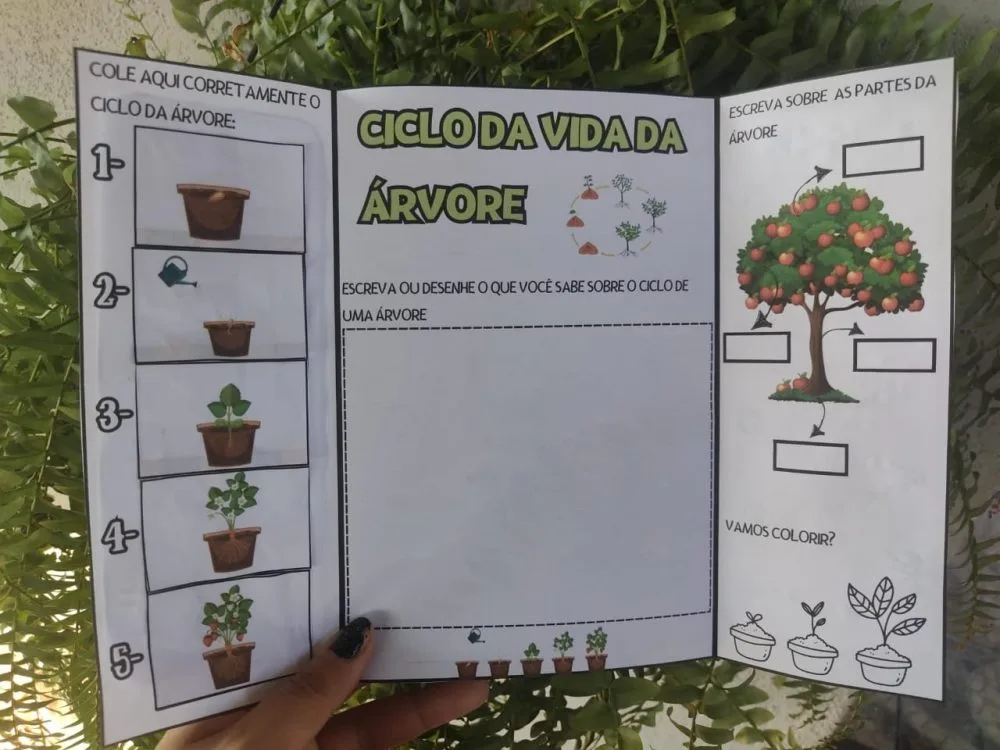 Lapbook Dia da Árvore — Pronto para Imprimir — imagem 2