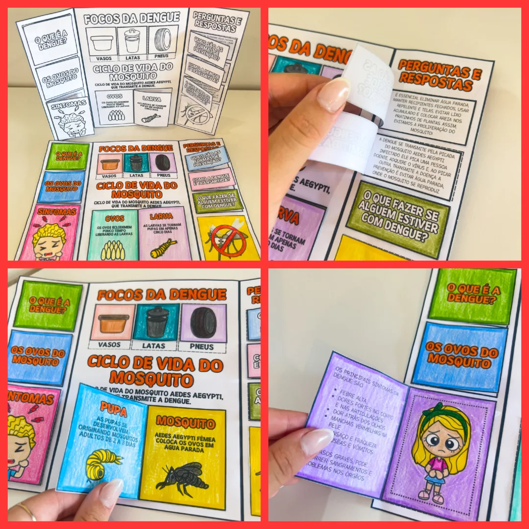 LAPBOOK / LIVRINHO: DENGUE — imagem 3