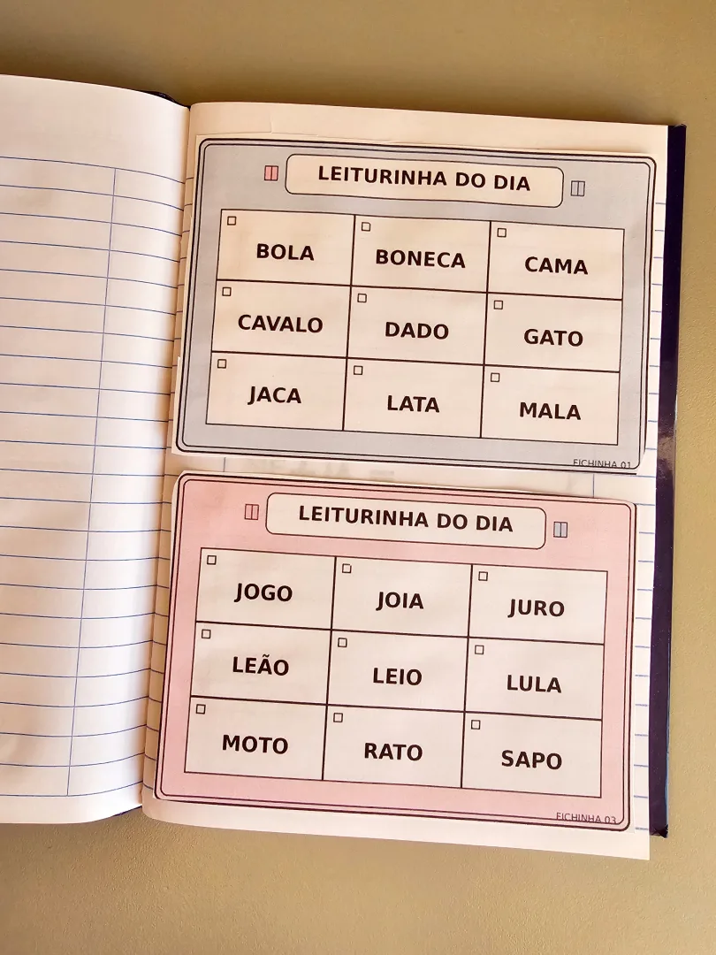 LEITURA DO DIA – ATIVIDADE DE LEITURA E ALFABETIZAÇÃO- PDF — imagem 4
