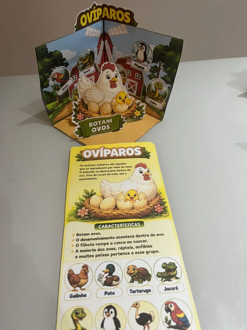 MAQUETES INTERATIVAS — TIPOS DE REPRODUÇÃO DOS ANIMAIS — imagem 4