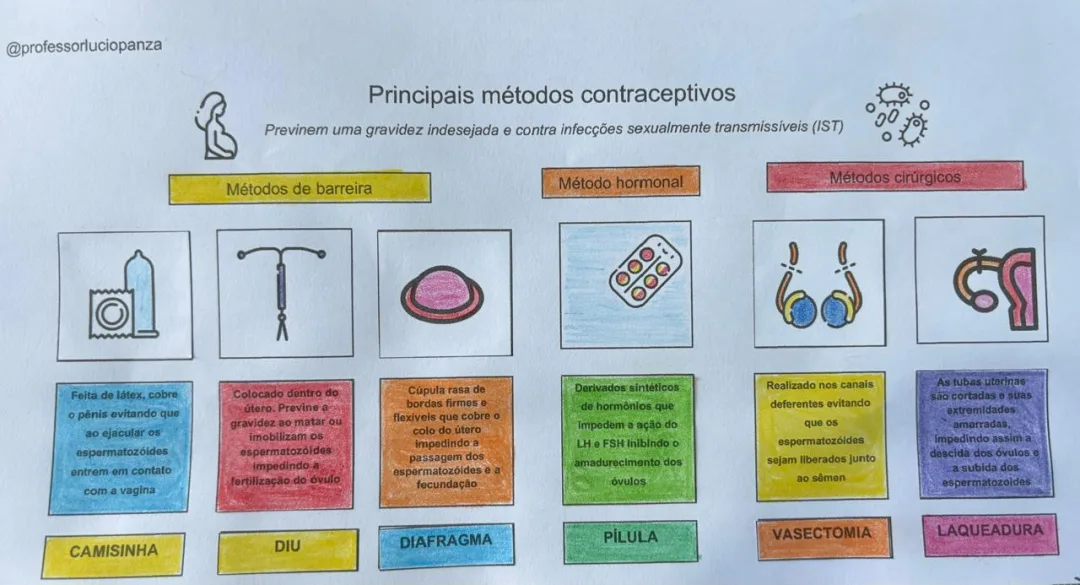 Métodos Contraceptivos Mapa Mental Recorte e Colagem em Pdf 8° Ano — imagem 2
