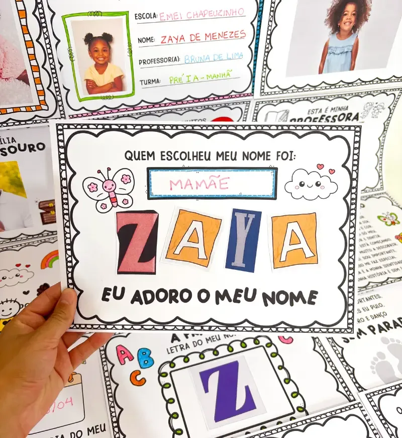 Meu Álbum de Identidade — imagem 2