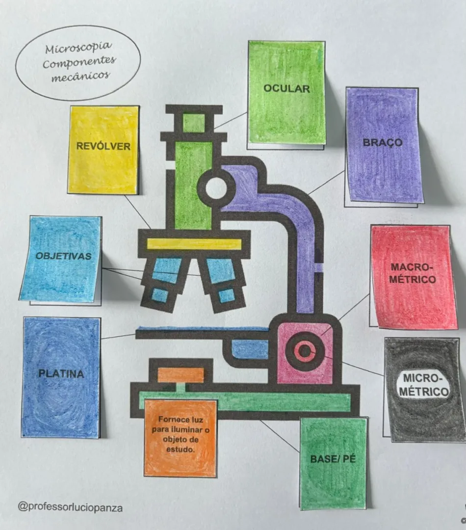 Microscópio Mapa Mental Recorte e Colagem em PDF 6° Ano — imagem 2
