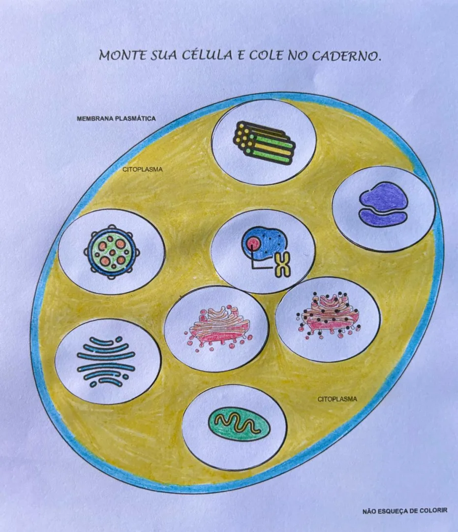 Monte Sua Célula Recorte e Colagem em Pdf 6° Ano — imagem 2
