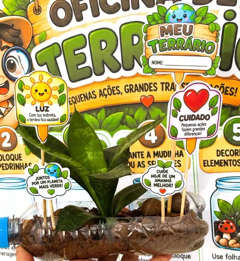 Oficina de Terrário | Meio Ambiente — imagem 2