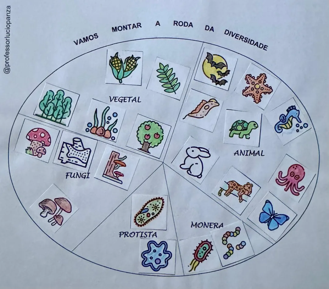 Os 5 Grandes Reinos Mandala Lúdica da Diversidade Recorte e Colagem em PDF 6° Ano — imagem 2