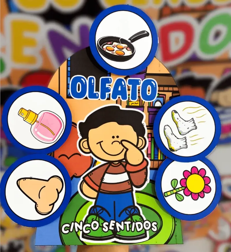 Os Cinco Sentidos — imagem 6