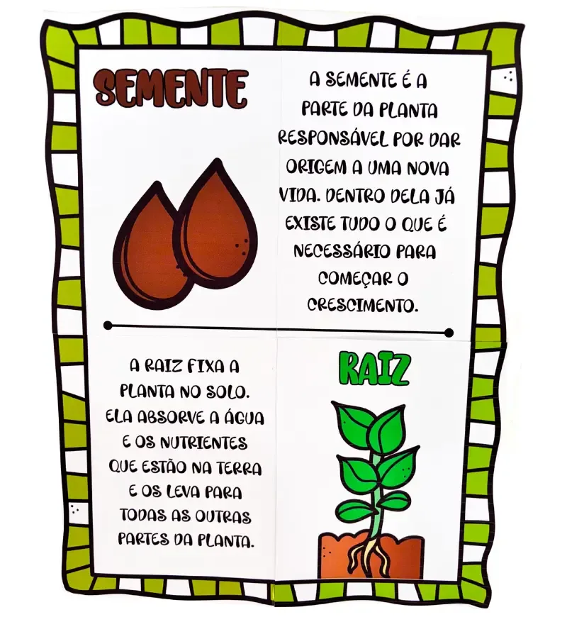 Painel As Partes da Árvore — imagem 5