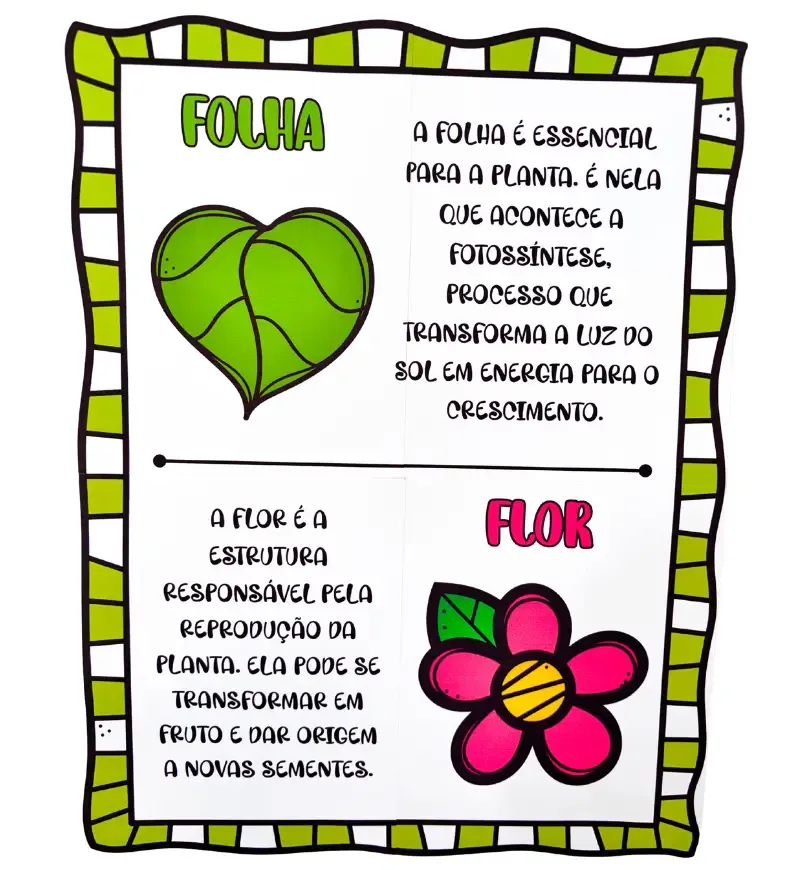 Painel As Partes da Árvore — imagem 6