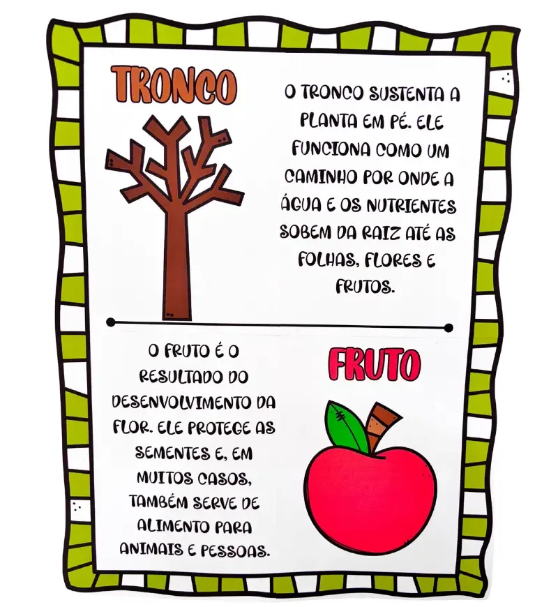 Painel As Partes da Árvore — imagem 7