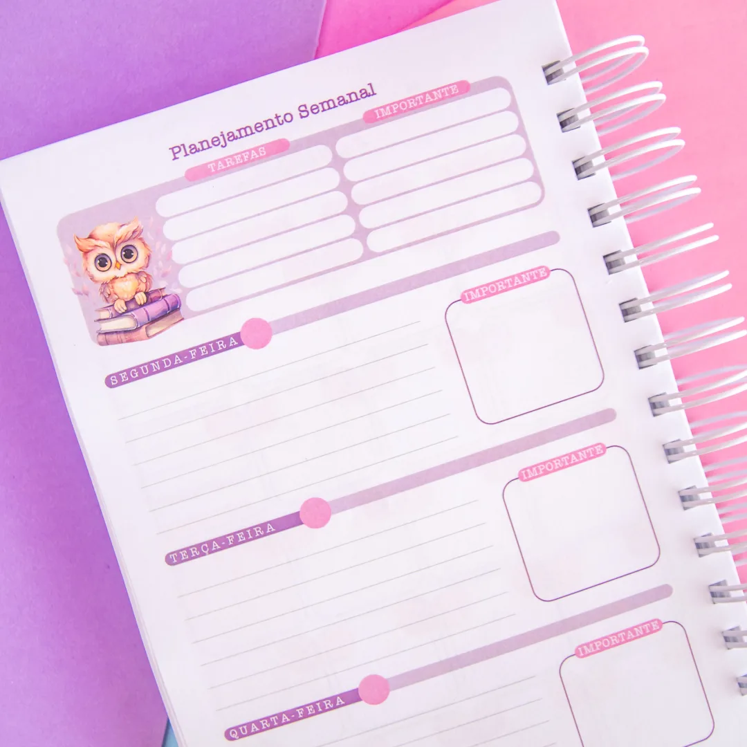PLANNER DA PROFESSORA E DO PROFESSOR — imagem 7