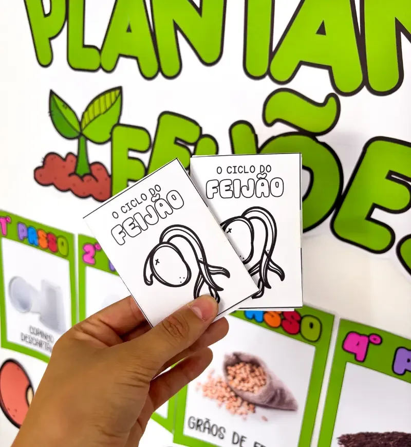 Plantando Feijões PDF Educação Infantil — imagem 7