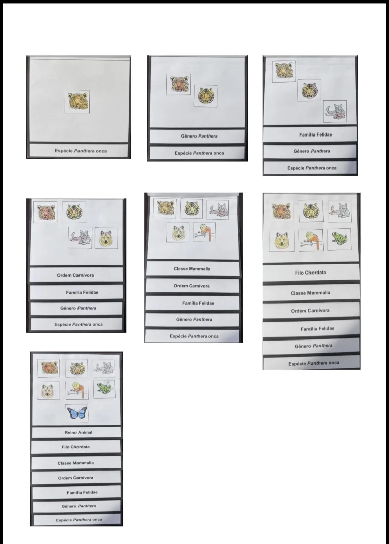 Portfólio Taxonômico Recorte e Colagem em PDF 7° Ano. — imagem 2