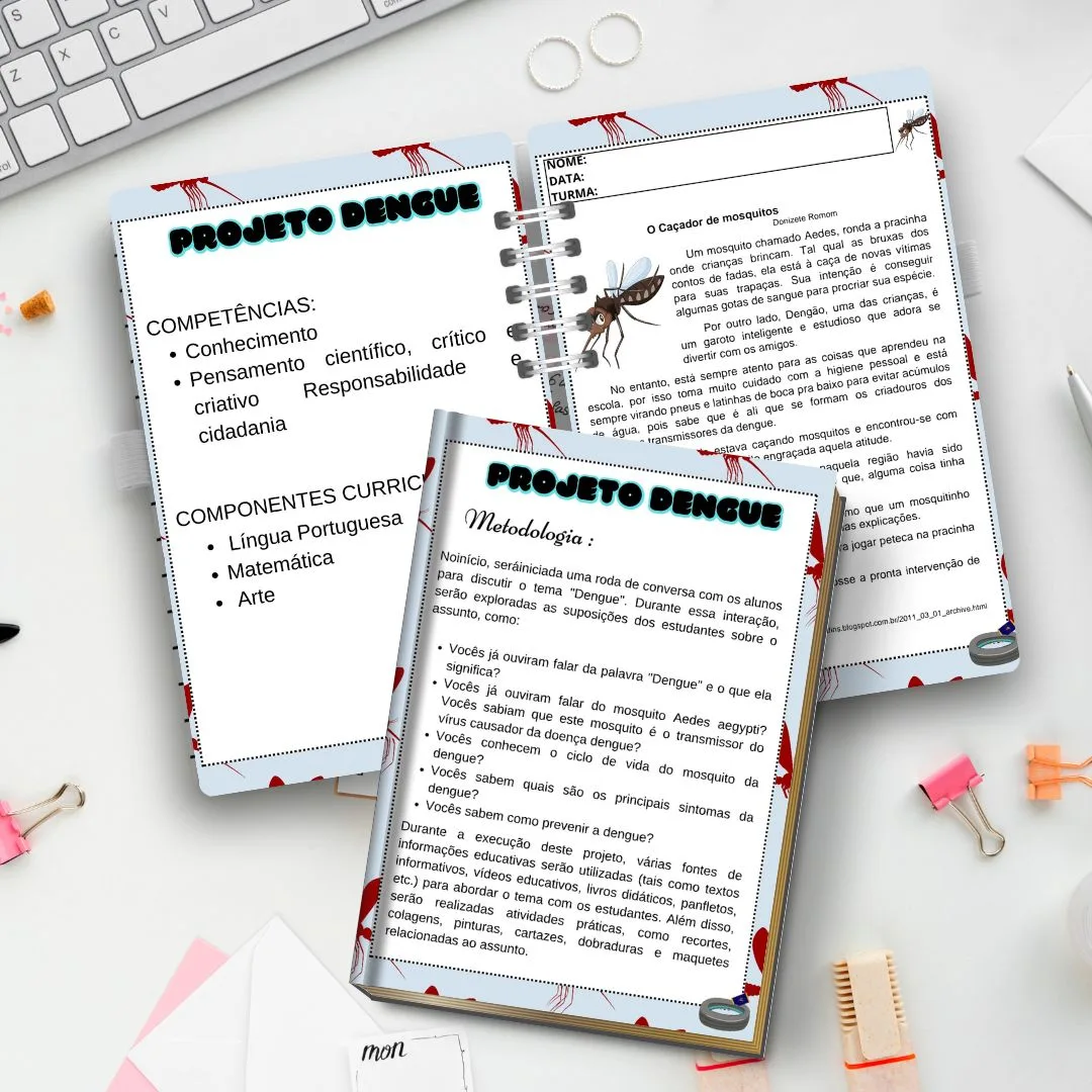 PROJETO DENGUE — imagem 2