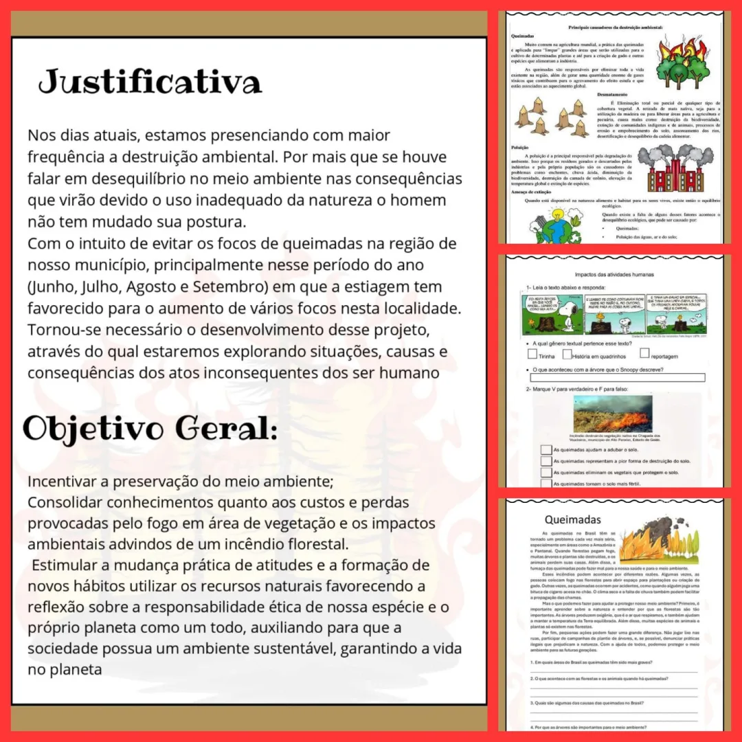 PROJETO DESMATAMENTO E QUEIMADAS — imagem 2